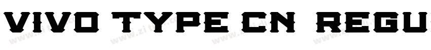 vivo type CN简 Regula字体转换